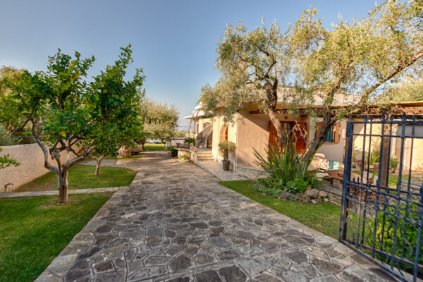 semeli (224)_edited